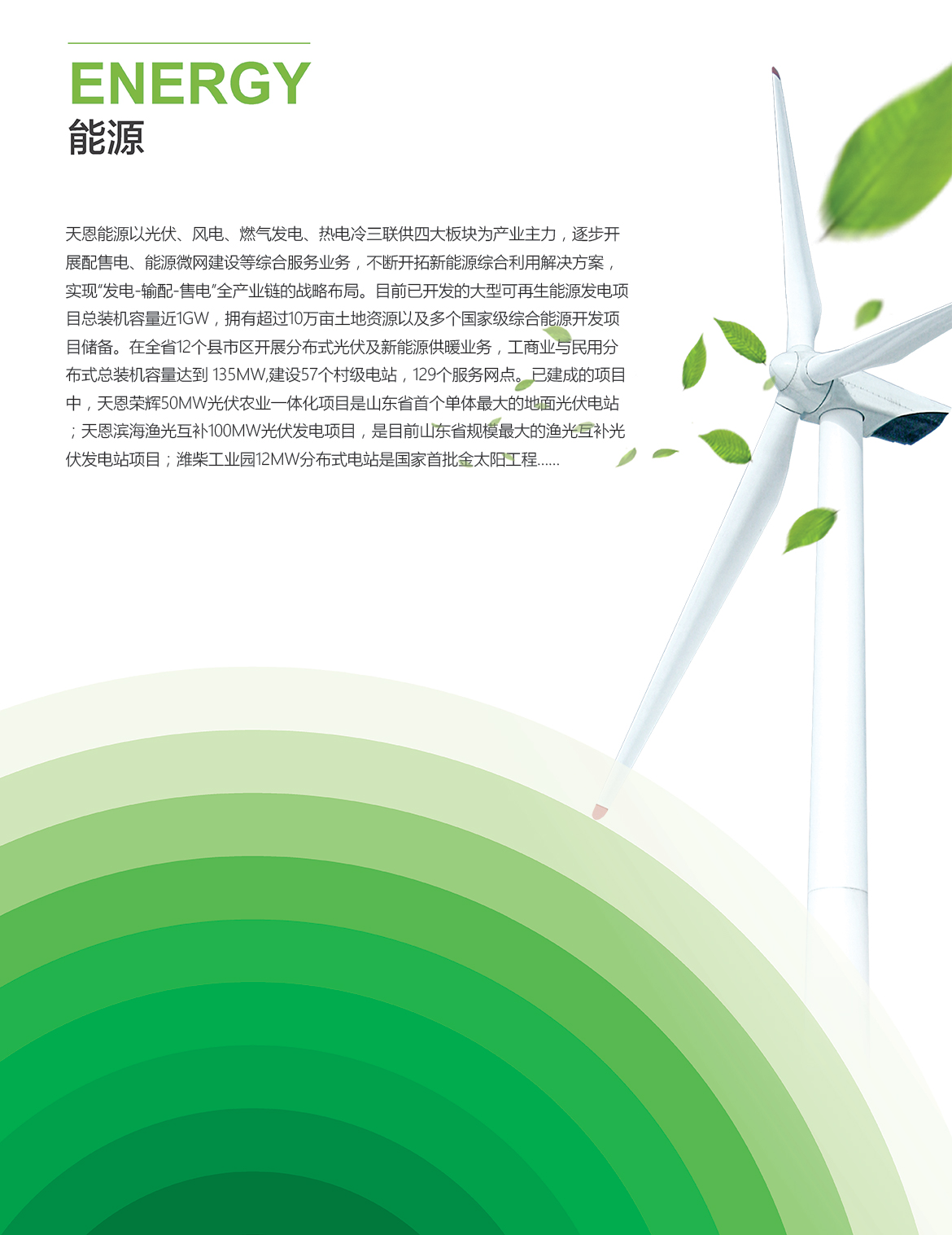 能源1.jpg