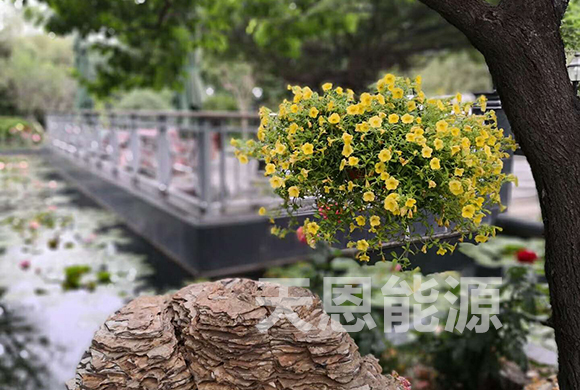 微信图片_20180523141154.jpg
